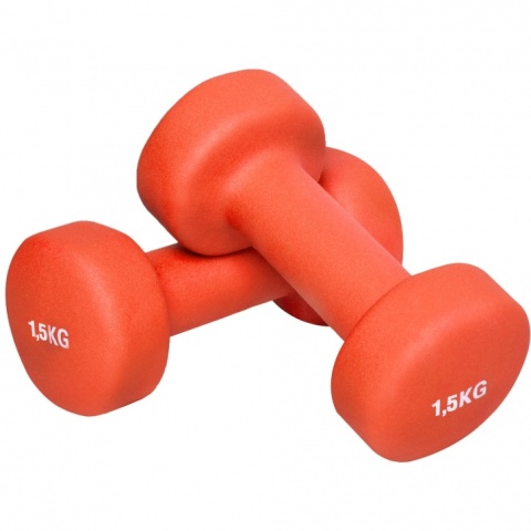 Hantle gimnastyczne 10 kg z walizką