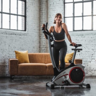 Rower Christopeit AL1 srebrny