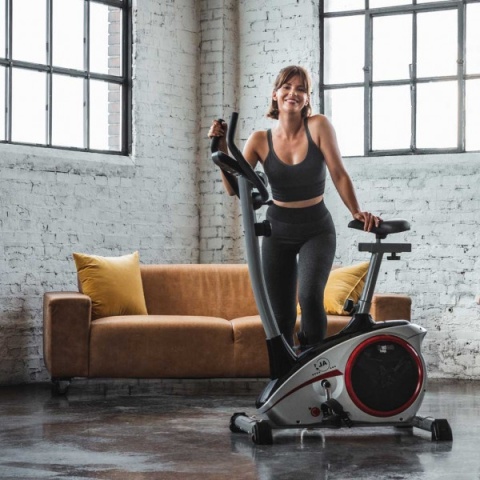 Rower Christopeit AL1 srebrny
