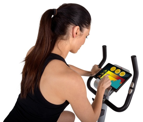 Rower Christopeit AL1 srebrny